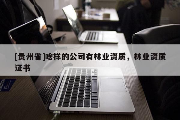 [貴州省]啥樣的公司有林業(yè)資質(zhì)，林業(yè)資質(zhì)證書