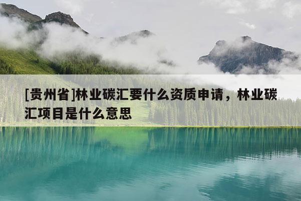 [貴州省]林業(yè)碳匯要什么資質(zhì)申請(qǐng)，林業(yè)碳匯項(xiàng)目是什么意思