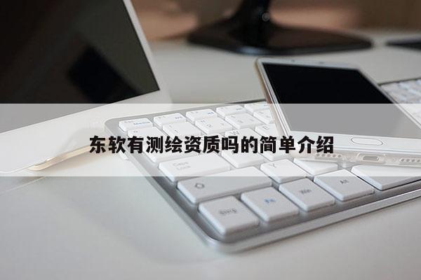東軟有測繪資質嗎的簡單介紹