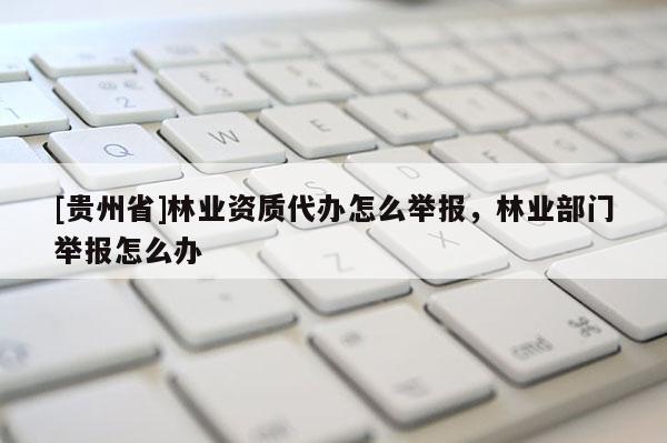 [貴州省]林業(yè)資質(zhì)代辦怎么舉報(bào)，林業(yè)部門舉報(bào)怎么辦