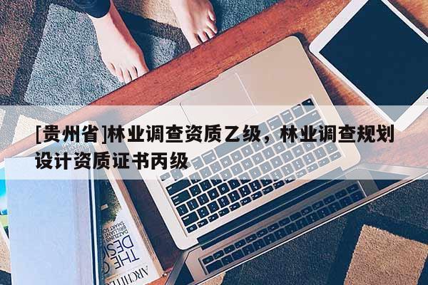 [貴州省]林業(yè)調(diào)查資質(zhì)乙級(jí)，林業(yè)調(diào)查規(guī)劃設(shè)計(jì)資質(zhì)證書丙級(jí)