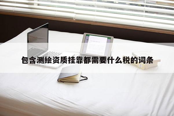 包含測繪資質(zhì)掛靠都需要什么稅的詞條