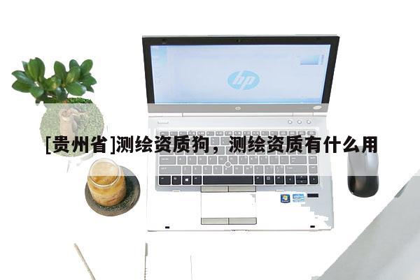 [貴州省]測(cè)繪資質(zhì)狗，測(cè)繪資質(zhì)有什么用