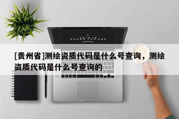 [貴州省]測(cè)繪資質(zhì)代碼是什么號(hào)查詢(xún)，測(cè)繪資質(zhì)代碼是什么號(hào)查詢(xún)的