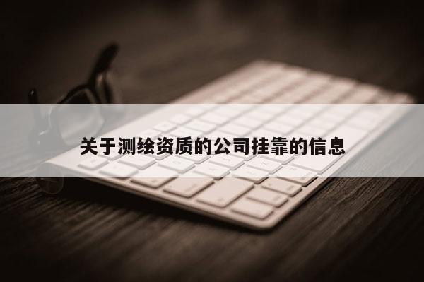 關于測繪資質(zhì)的公司掛靠的信息