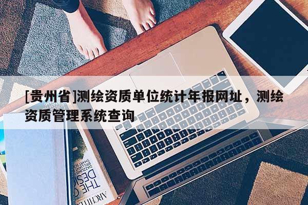 [貴州省]測繪資質(zhì)單位統(tǒng)計(jì)年報(bào)網(wǎng)址，測繪資質(zhì)管理系統(tǒng)查詢